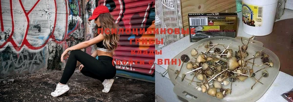 шишки Богданович