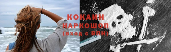 шишки Богданович