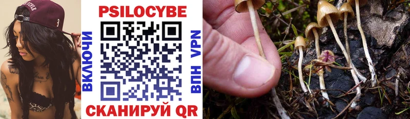 Псилоцибиновые грибы Cubensis  Киреевск 